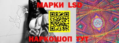 бошки Новодвинск