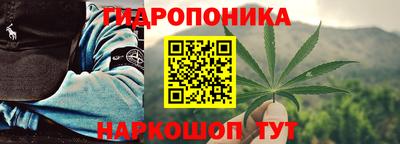 молекула духа Обь