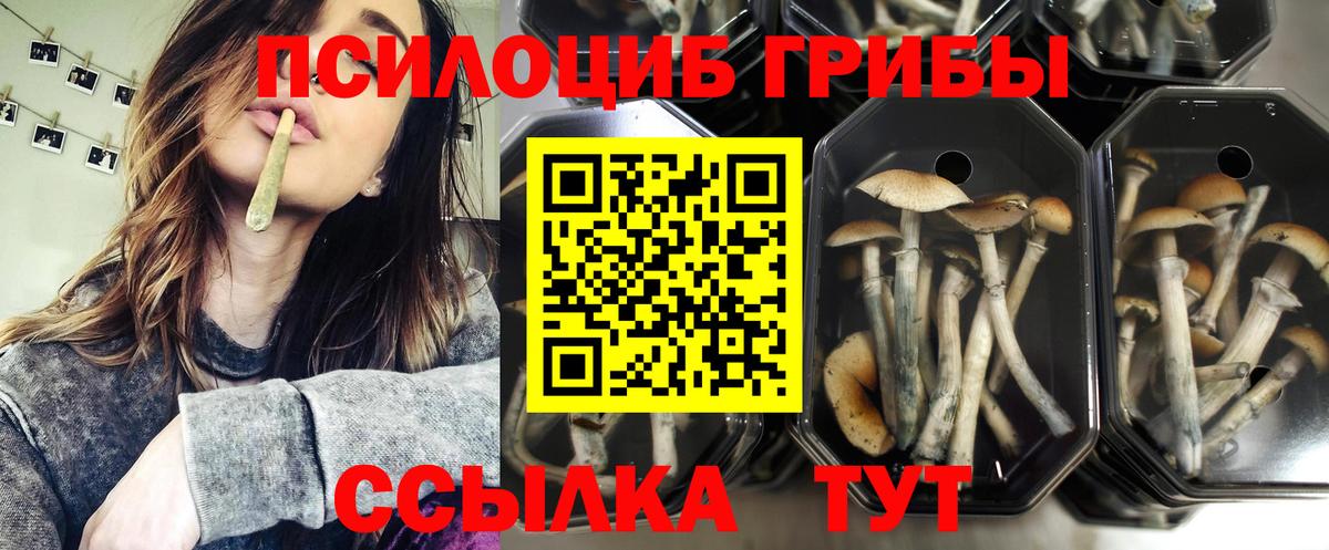 Галлюциногенные грибы Magic Shrooms Сланцы