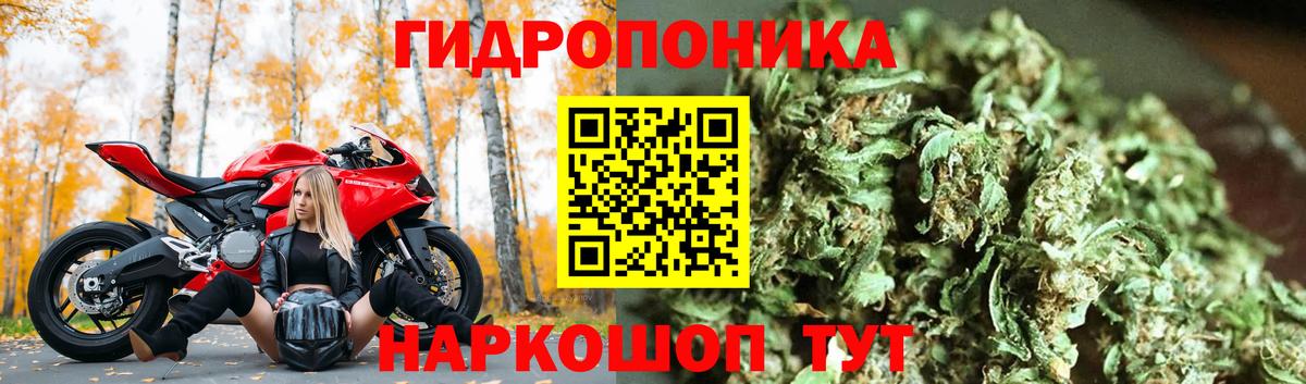 APVP Сланцы